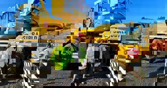 Training at your pace